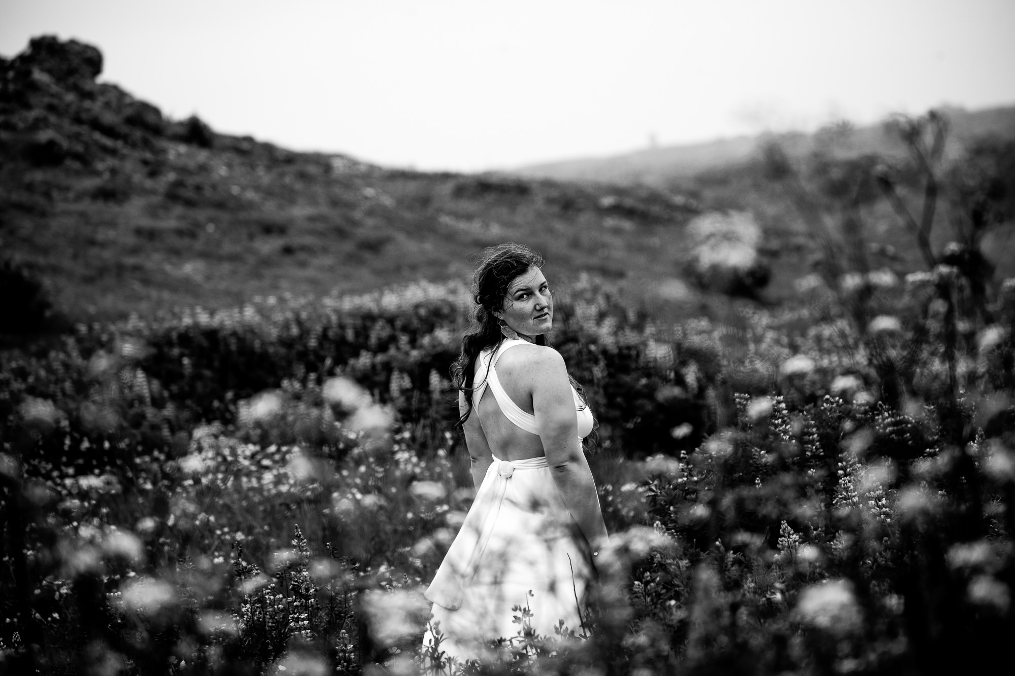 Export x3 5D4 9135 Victoria @ Reykanesviti 5